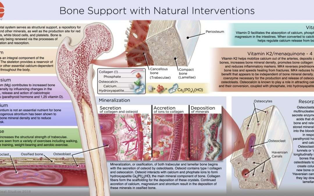 Build Bones Naturally with Crucial Nutrients