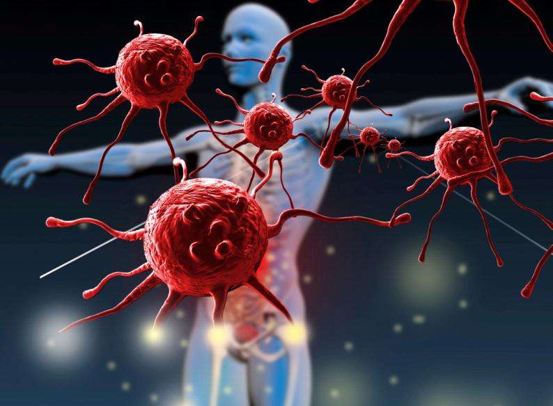 3 Ways to Ensure a Healthy Gut