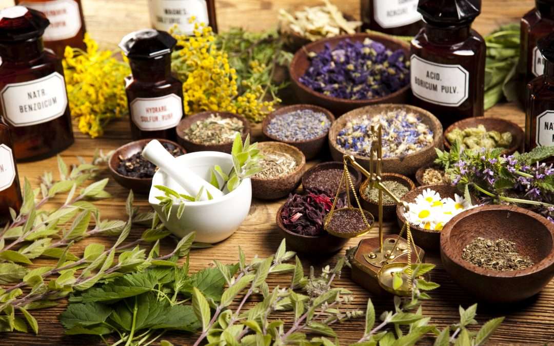 Herbs for Women’s Health