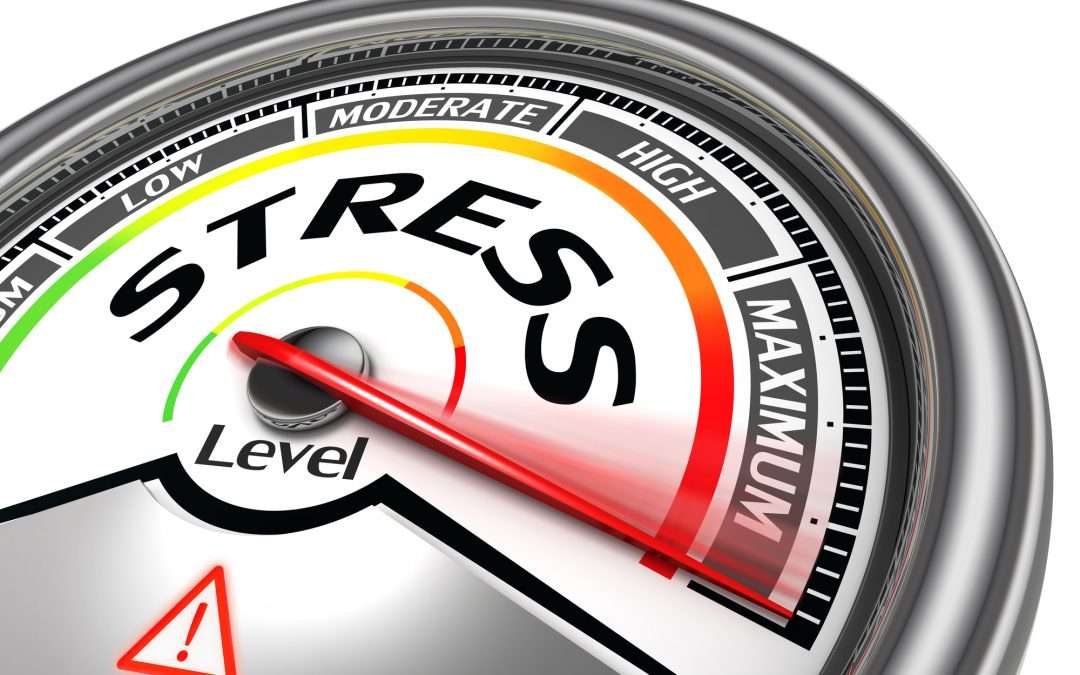 Stress Shrinks Your Brain