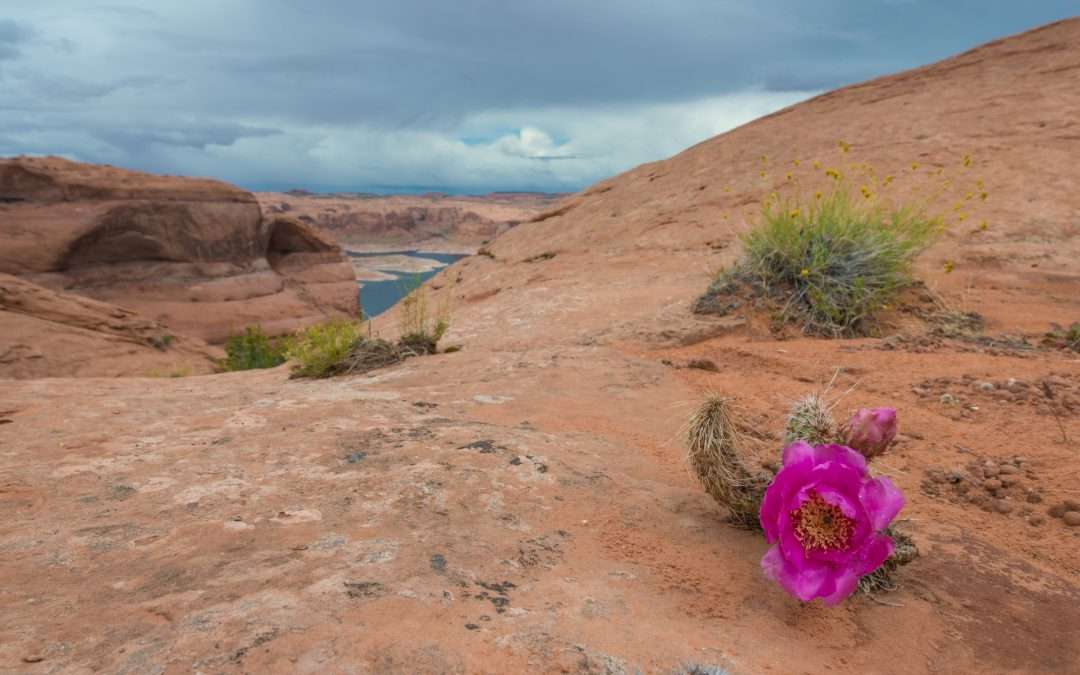 How COVID-19 Will Make You a Better Person