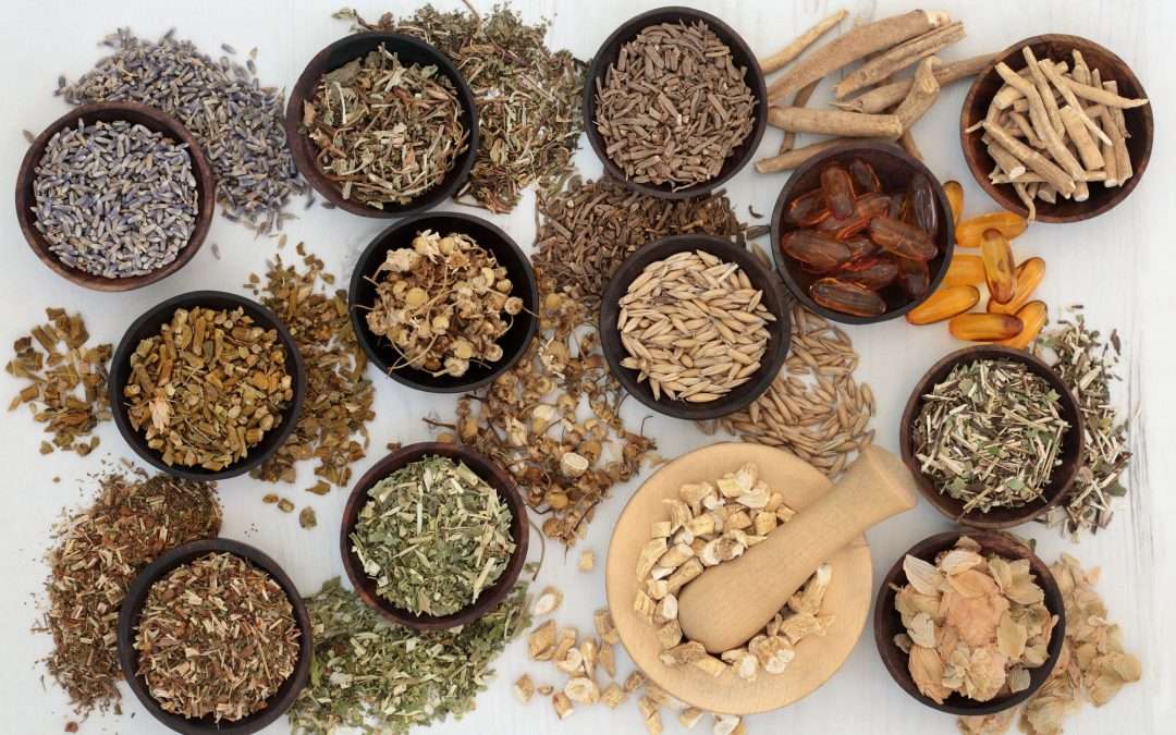 Top Adaptogenic and Calming Herbs for Sleep