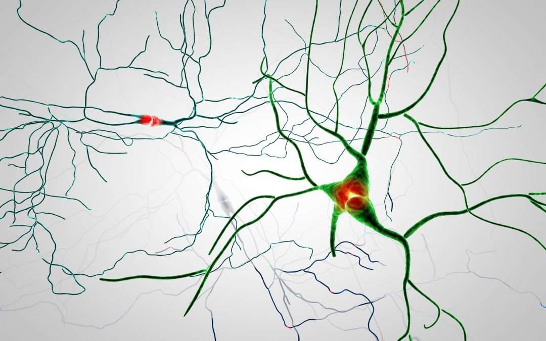 How to Boost Your Dopamine