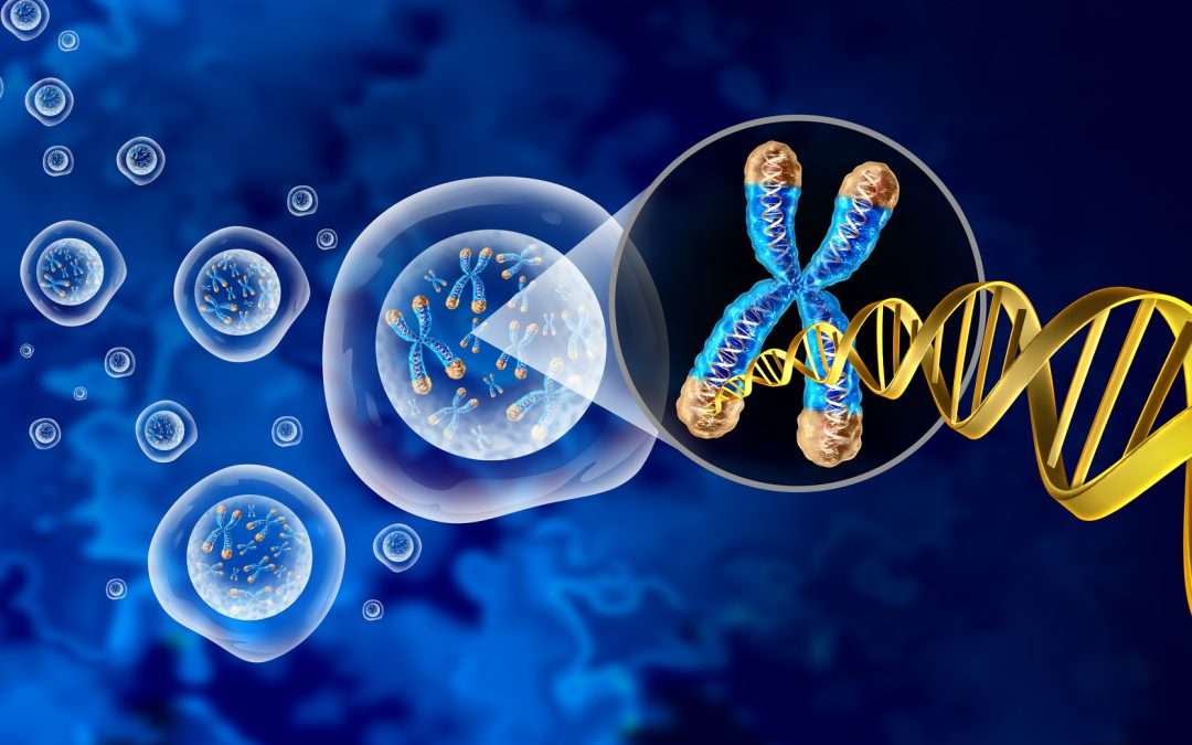 How to Reverse Your Biological Age