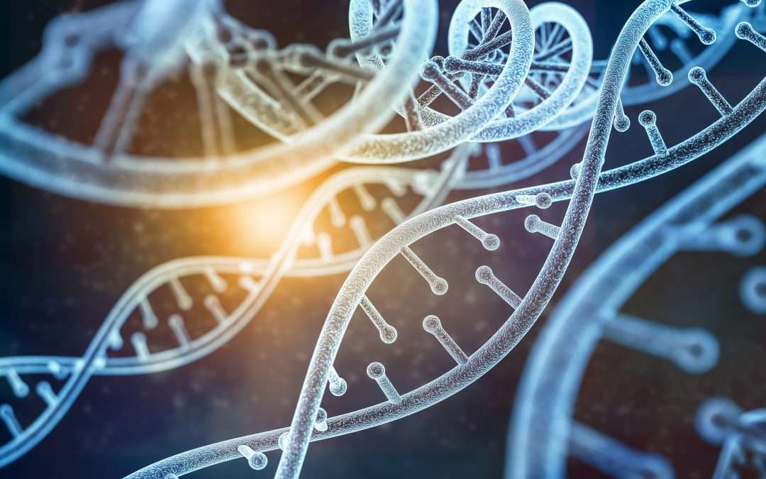 The Genetics of How Long You’ll Live