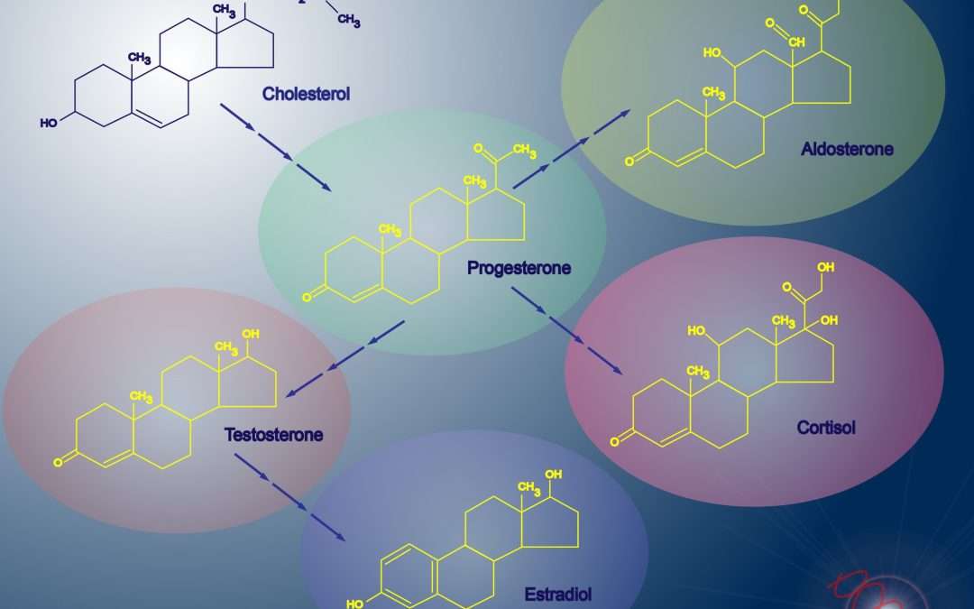 Adding Testosterone to HRT for Women